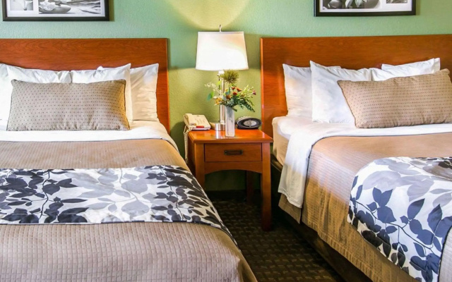 Sleep Inn & Suites Gonzales near Palmetto State Park