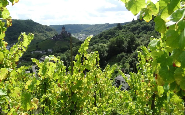 Talblick