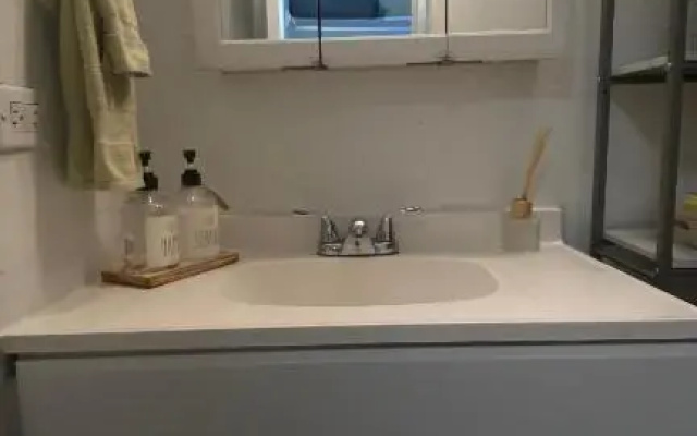 Lewers Studio Suite