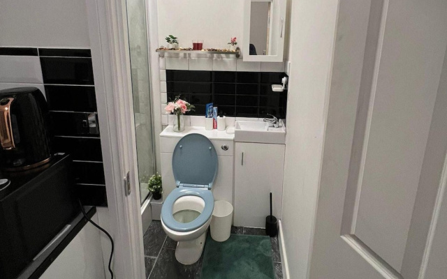 Lovely Apartment Close to Acton Central Station