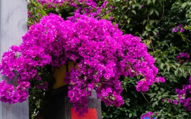 Kunming Yinyue Homestay