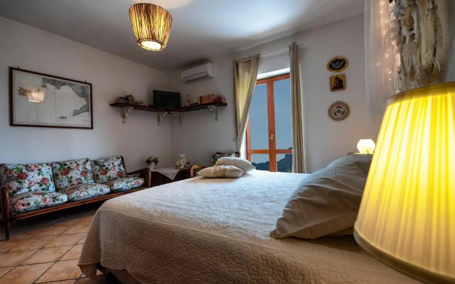 Domus Ars Home