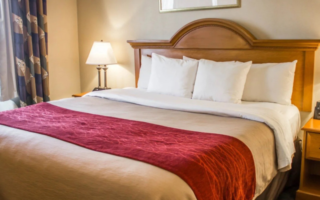 Comfort Inn JFK Airport
