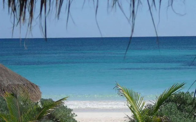 Retiro Maya Tulum