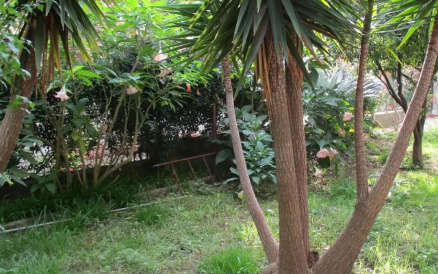 Giardino degli aranci - Resort