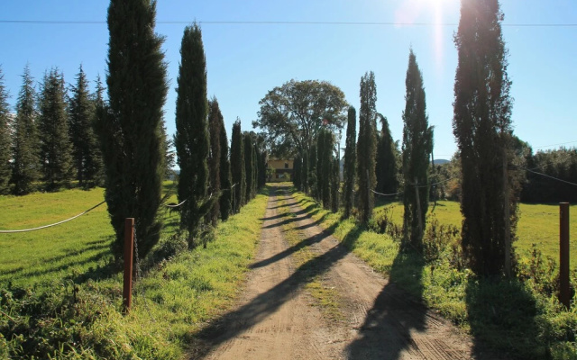 Pian Del Leccione