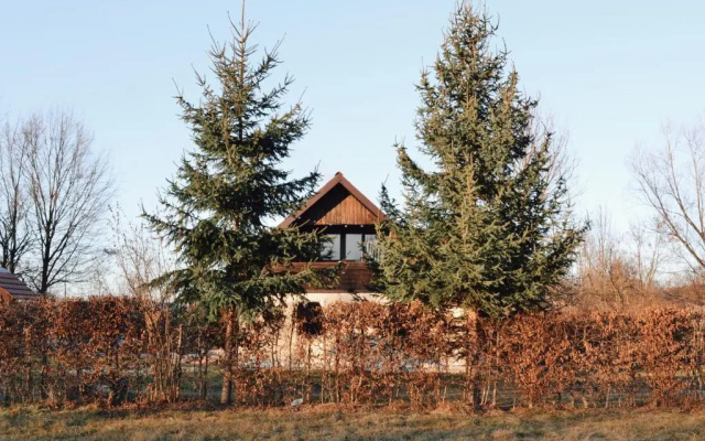 Cuib din Fagaras