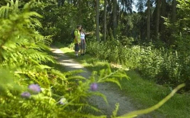 Pension Bergstub`n