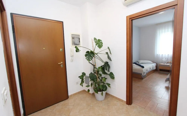 Apartments Lola