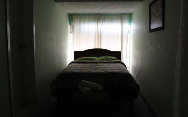 Color House Petitte - Hostel