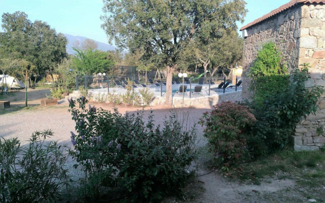 E Canicce