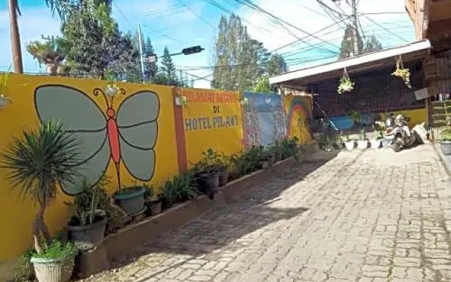 Hotel pelawi
