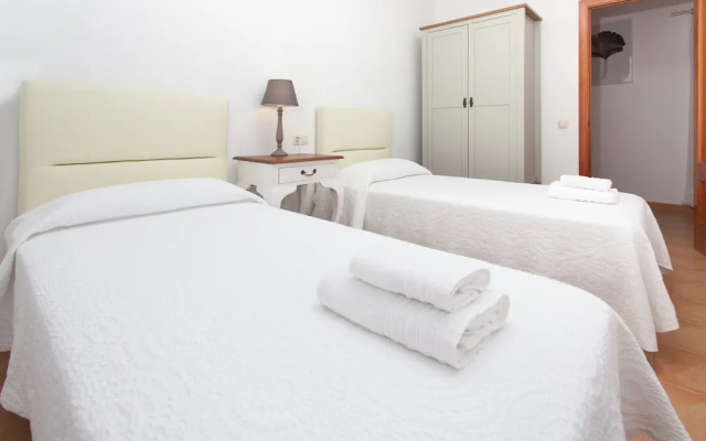 Anahi Home Drago 14