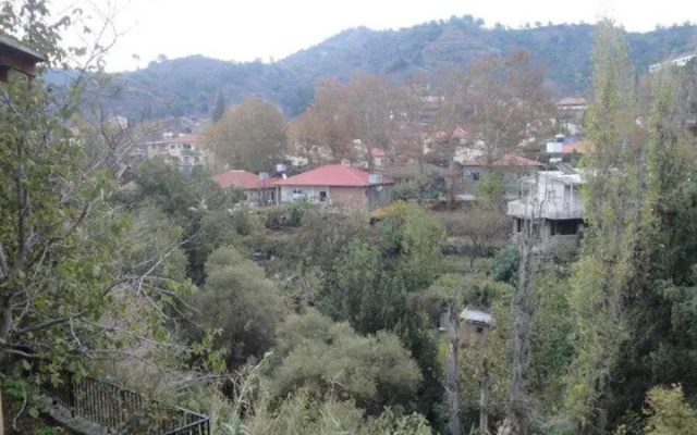 Irenes House