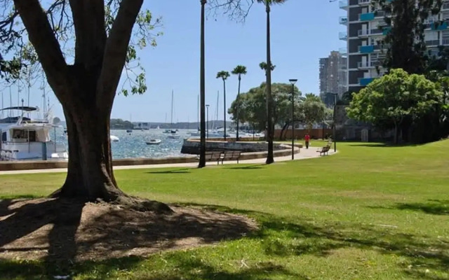 Sun Drenched Apartment in Darlinghurst