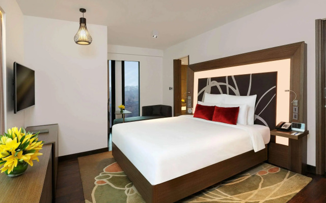 Novotel New Delhi Aerocity Hotel