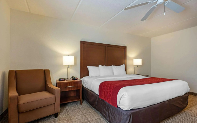 Comfort Inn Kissimmee-Lake Buena Vista South