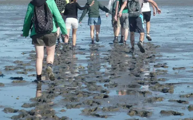 De Wadloper