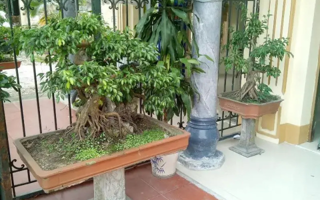 Tai Hoa Motel