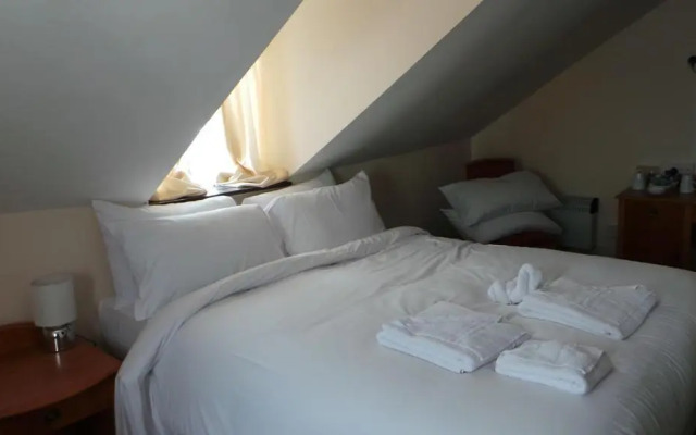 Dolphin Hotel