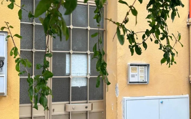 Antico 109