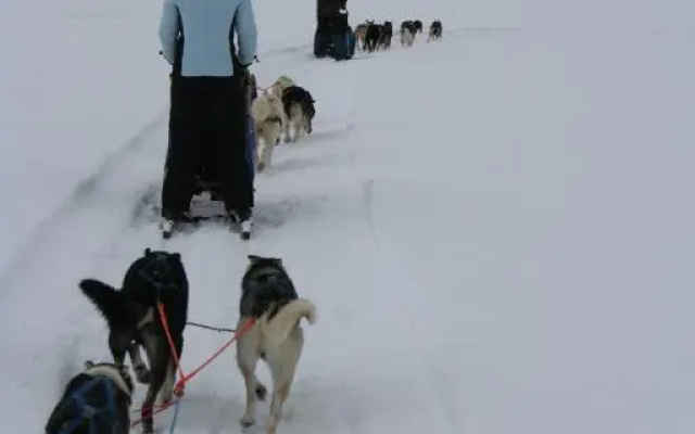 Furulund Pensjonat