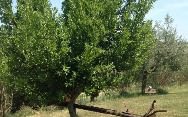 Teruzzi Country House