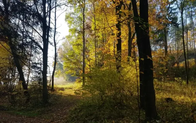 Pokoje Gościnne Art- Dworek