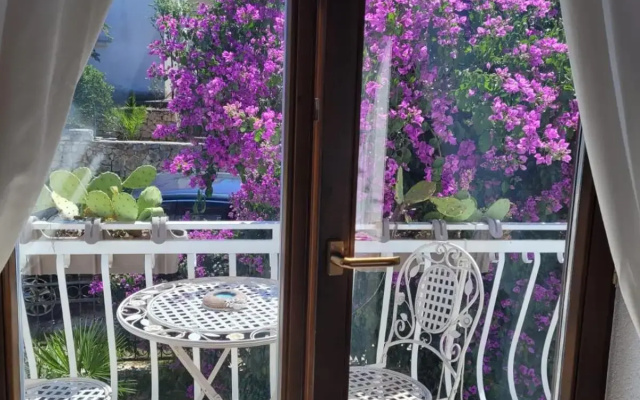 Apartmán Brački cvijet