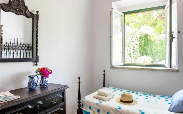 Farmhouse Dreams: Explore and Relax