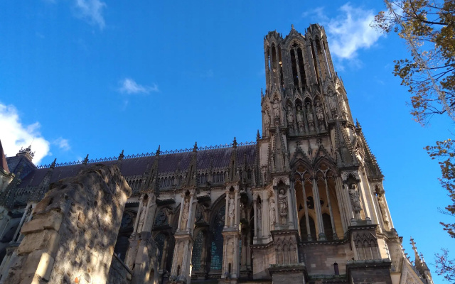 Lmnp Reims