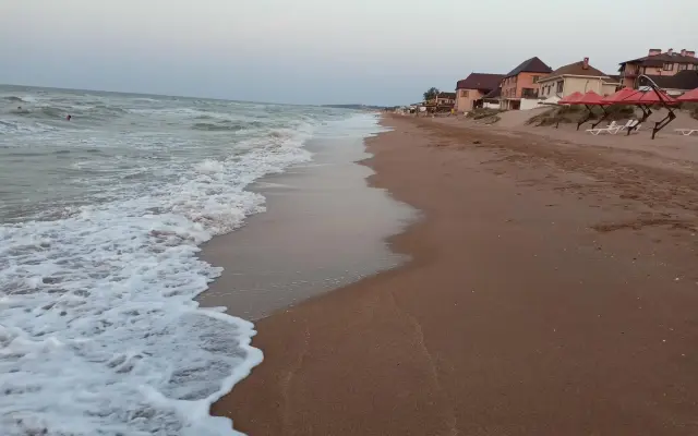 Сафари