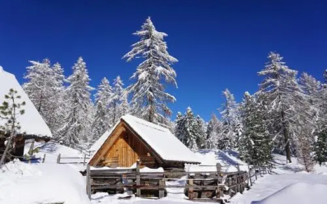 Almhütte Schmidt