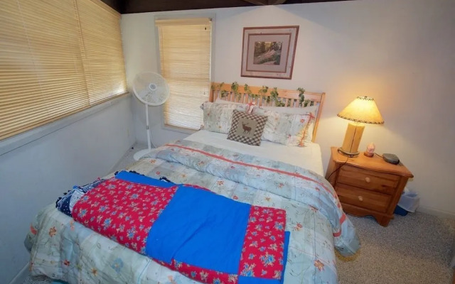 Cliffside House - 3 Bedroom Near Mt Princeton Hot Springs Home
