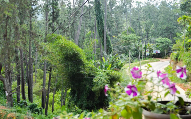 Rustle Hill Home Stay-Ella