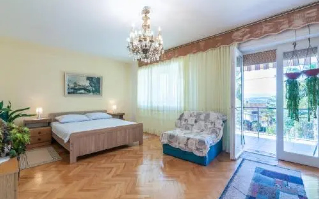 Apartment Vida