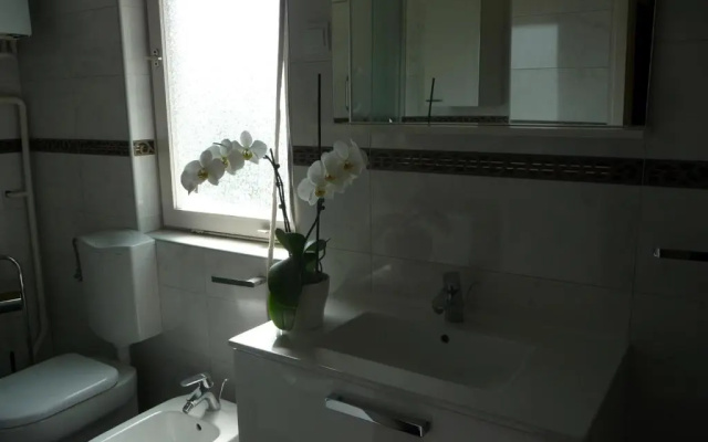 Apartments Noris