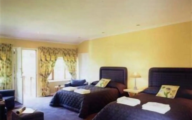 Milkwood Lodge - Hermanus