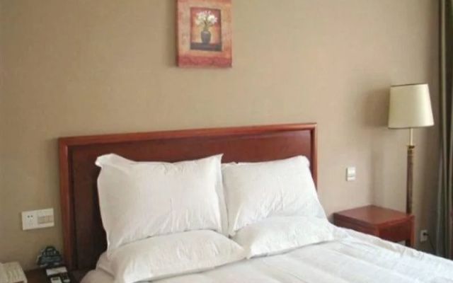 Green Tree Inn Nanjing South Daqiao Road Jinying Hotel