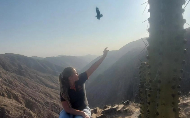 JUMANA