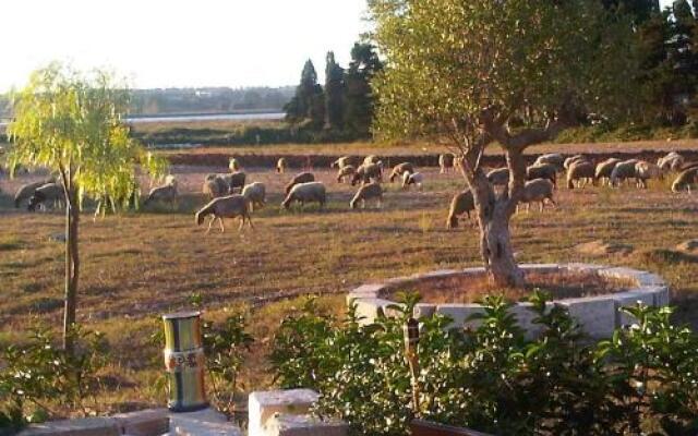 Agriturismo Podere San Michele