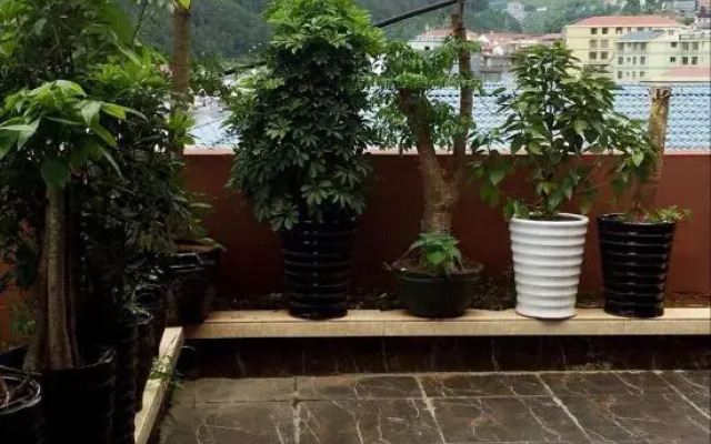 Yongshun Exotic Hotel