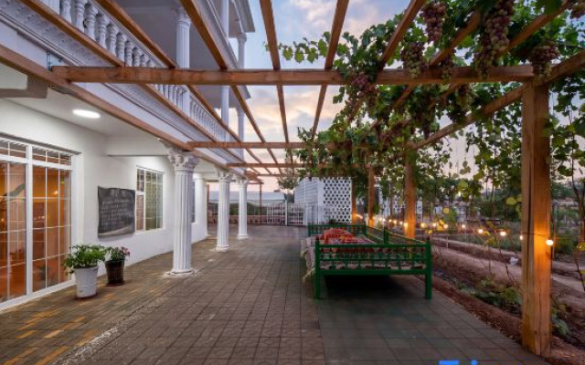 Turpan Grape Village Sand Therapy Homestay (Grape Valley Branch)