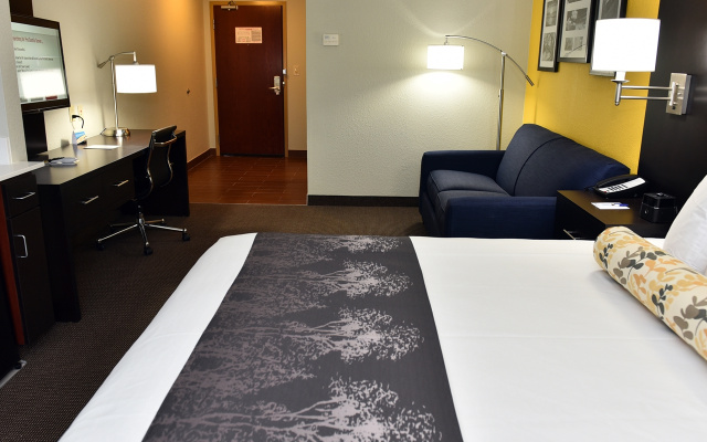 Best Western Plus Fairburn-Atlanta Southwest