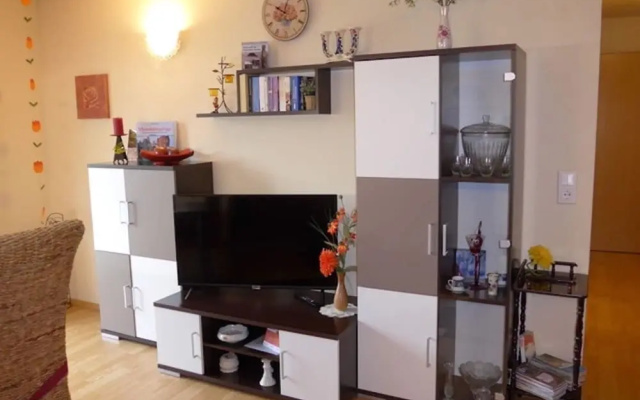 Roomy Apartment in Lichtenhain With Pond
