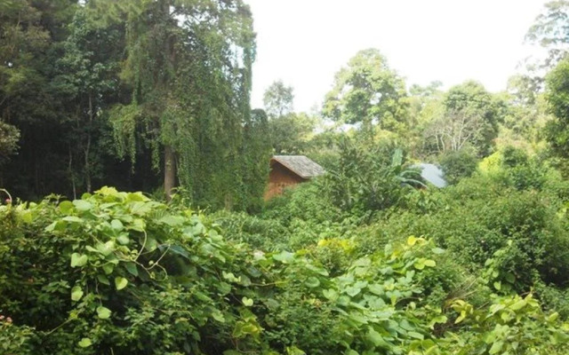Thitaw Lay House B & B