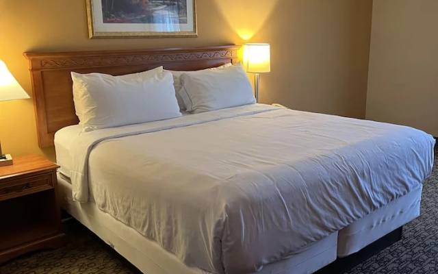 Hotel Xola