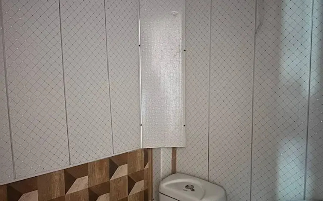 Qvis sakhli