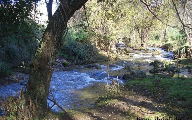 Huerta Del Sever