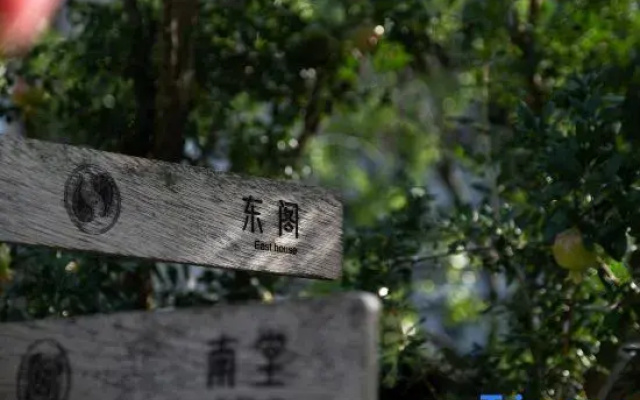 Future Homestay （Xingyi Wanfenglin Store）